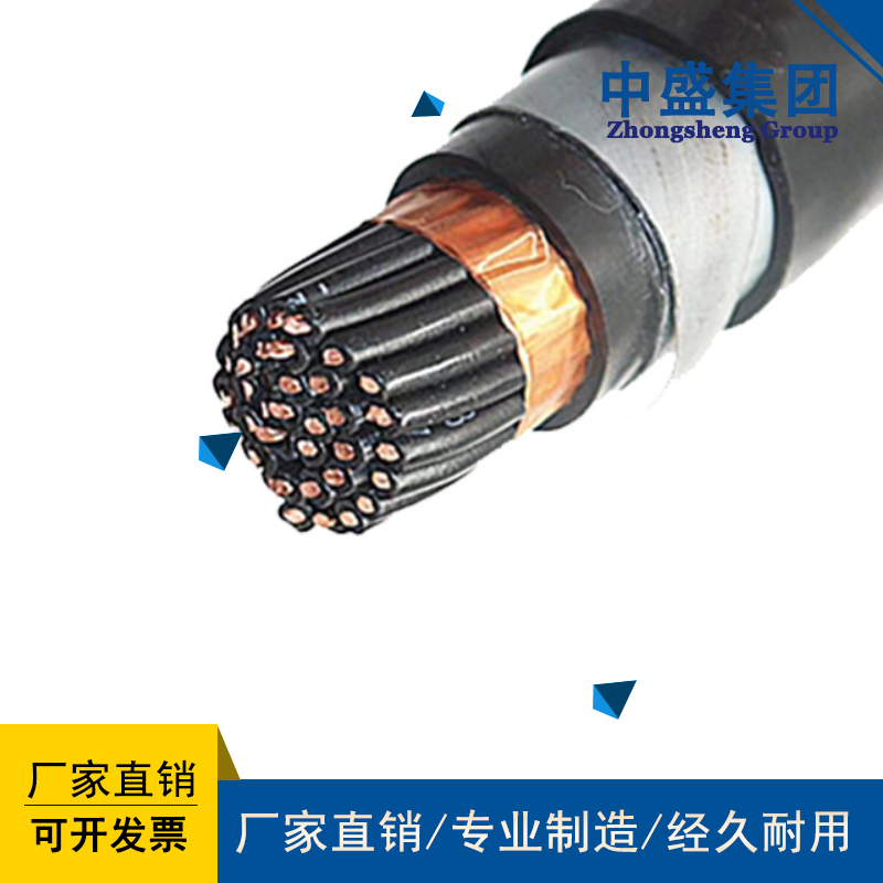 鋼帶鎧裝計(jì)算機(jī)電纜DJYVP22、DJYPV22