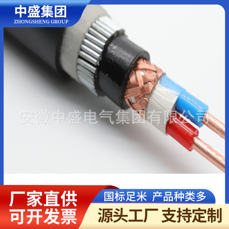 鋼絲鎧裝計(jì)算機(jī)電纜DJYVP32 DJYPV32 DJYPVP32